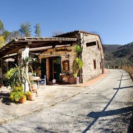 Vila Ferienhaus Mit Privatpool Fuer 4 Personen Ca 50 Qm In Carignano Di Lucca, Toskana Provinz Lucca Exteriér fotografie