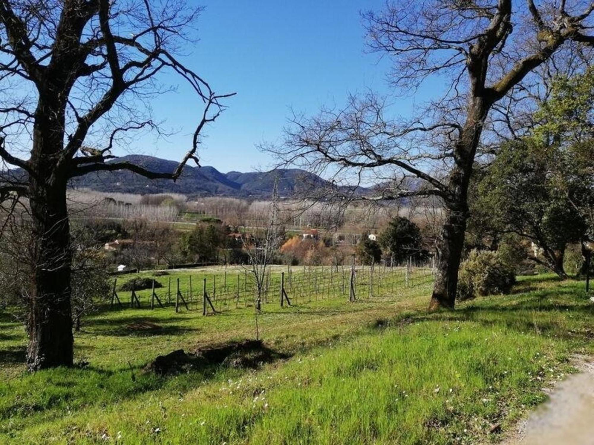 Vila Ferienhaus Mit Privatpool Fuer 4 Personen Ca 50 Qm In Carignano Di Lucca, Toskana Provinz Lucca Exteriér fotografie